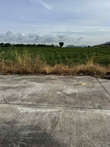 ประกาศฟรี! ซื้อ-ขาย-เช่า คอนโด บ้าน ทาวน์โฮม ที่ดิน และพื้นที่เชิงพาณิชย์ทั่วประเทศไทย ทุกทำเล ทุกงบประมาณ ไม่มีค่าใช้จ่าย ลงง่าย ขายไว เข้าถึงผู้ซื้อโดยตรง 3 301840pic2.jpg