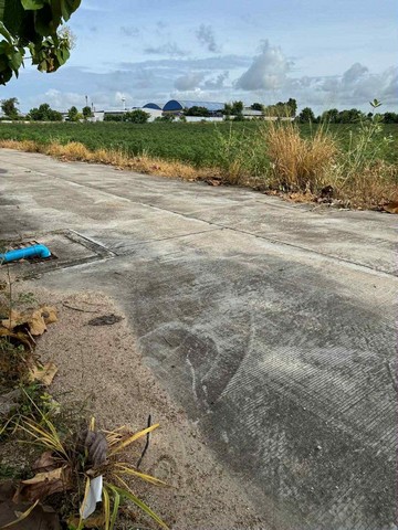 ประกาศฟรี! ซื้อ-ขาย-เช่า คอนโด บ้าน ทาวน์โฮม ที่ดิน และพื้นที่เชิงพาณิชย์ทั่วประเทศไทย ทุกทำเล ทุกงบประมาณ ไม่มีค่าใช้จ่าย ลงง่าย ขายไว เข้าถึงผู้ซื้อโดยตรง 5 301840pic4.jpg