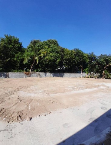 ประกาศฟรี! ซื้อ-ขาย-เช่า คอนโด บ้าน ทาวน์โฮม ที่ดิน และพื้นที่เชิงพาณิชย์ทั่วประเทศไทย ทุกทำเล ทุกงบประมาณ ไม่มีค่าใช้จ่าย ลงง่าย ขายไว เข้าถึงผู้ซื้อโดยตรง 2 301832pic1.jpg