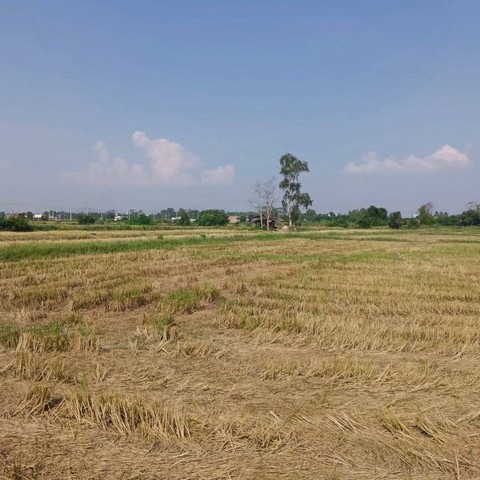 ประกาศฟรี! ซื้อ-ขาย-เช่า คอนโด บ้าน ทาวน์โฮม ที่ดิน และพื้นที่เชิงพาณิชย์ทั่วประเทศไทย ทุกทำเล ทุกงบประมาณ ไม่มีค่าใช้จ่าย ลงง่าย ขายไว เข้าถึงผู้ซื้อโดยตรง 2 301793pic1.jpg