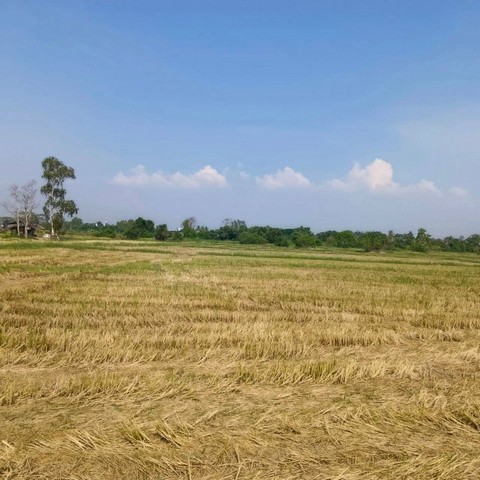 ประกาศฟรี! ซื้อ-ขาย-เช่า คอนโด บ้าน ทาวน์โฮม ที่ดิน และพื้นที่เชิงพาณิชย์ทั่วประเทศไทย ทุกทำเล ทุกงบประมาณ ไม่มีค่าใช้จ่าย ลงง่าย ขายไว เข้าถึงผู้ซื้อโดยตรง 3 301793pic2.jpg