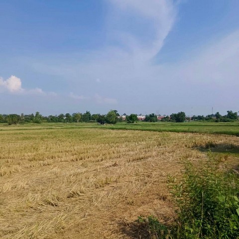 ประกาศฟรี! ซื้อ-ขาย-เช่า คอนโด บ้าน ทาวน์โฮม ที่ดิน และพื้นที่เชิงพาณิชย์ทั่วประเทศไทย ทุกทำเล ทุกงบประมาณ ไม่มีค่าใช้จ่าย ลงง่าย ขายไว เข้าถึงผู้ซื้อโดยตรง 4 301793pic3.jpg