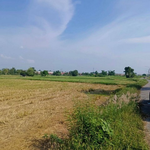 ประกาศฟรี! ซื้อ-ขาย-เช่า คอนโด บ้าน ทาวน์โฮม ที่ดิน และพื้นที่เชิงพาณิชย์ทั่วประเทศไทย ทุกทำเล ทุกงบประมาณ ไม่มีค่าใช้จ่าย ลงง่าย ขายไว เข้าถึงผู้ซื้อโดยตรง 5 301793pic4.jpg