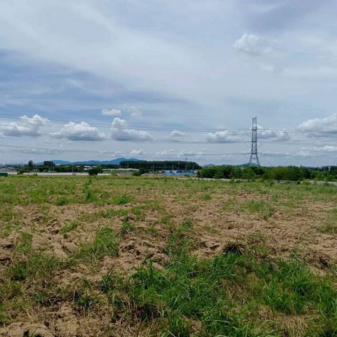 ประกาศฟรี! ซื้อ-ขาย-เช่า คอนโด บ้าน ทาวน์โฮม ที่ดิน และพื้นที่เชิงพาณิชย์ทั่วประเทศไทย ทุกทำเล ทุกงบประมาณ ไม่มีค่าใช้จ่าย ลงง่าย ขายไว เข้าถึงผู้ซื้อโดยตรง 2 301789pic1.jpg