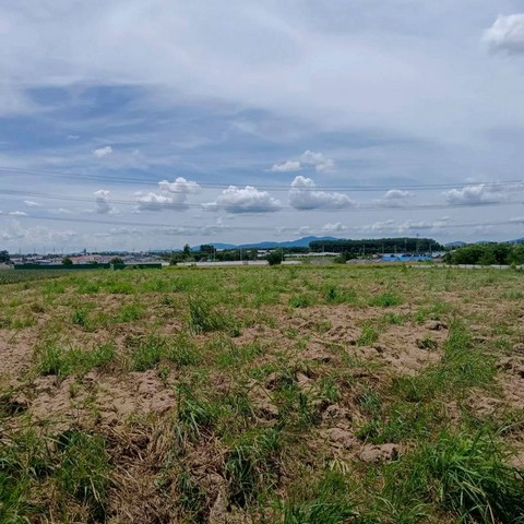 ประกาศฟรี! ซื้อ-ขาย-เช่า คอนโด บ้าน ทาวน์โฮม ที่ดิน และพื้นที่เชิงพาณิชย์ทั่วประเทศไทย ทุกทำเล ทุกงบประมาณ ไม่มีค่าใช้จ่าย ลงง่าย ขายไว เข้าถึงผู้ซื้อโดยตรง 3 301789pic2.jpg