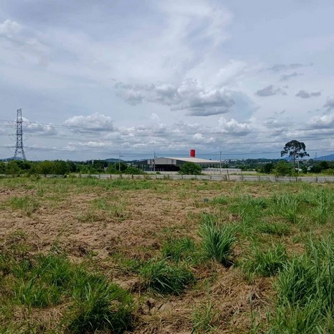 ประกาศฟรี! ซื้อ-ขาย-เช่า คอนโด บ้าน ทาวน์โฮม ที่ดิน และพื้นที่เชิงพาณิชย์ทั่วประเทศไทย ทุกทำเล ทุกงบประมาณ ไม่มีค่าใช้จ่าย ลงง่าย ขายไว เข้าถึงผู้ซื้อโดยตรง 4 301789pic3.jpg