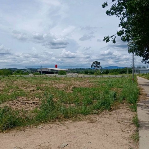 ประกาศฟรี! ซื้อ-ขาย-เช่า คอนโด บ้าน ทาวน์โฮม ที่ดิน และพื้นที่เชิงพาณิชย์ทั่วประเทศไทย ทุกทำเล ทุกงบประมาณ ไม่มีค่าใช้จ่าย ลงง่าย ขายไว เข้าถึงผู้ซื้อโดยตรง 5 301789pic4.jpg