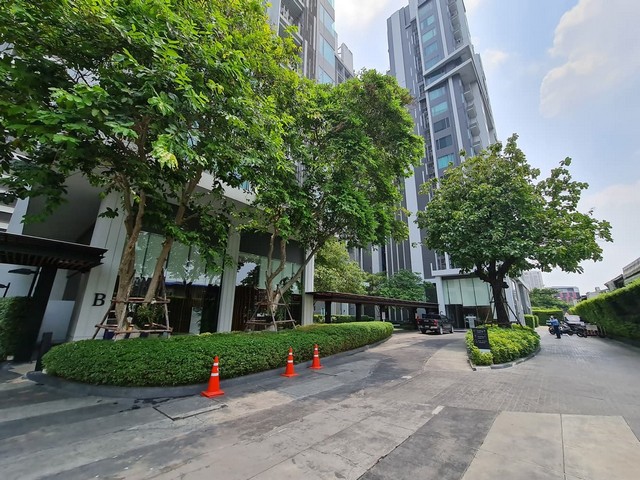 ประกาศฟรี! ซื้อ-ขาย-เช่า คอนโด บ้าน ทาวน์โฮม ที่ดิน และพื้นที่เชิงพาณิชย์ทั่วประเทศไทย ทุกทำเล ทุกงบประมาณ ไม่มีค่าใช้จ่าย ลงง่าย ขายไว เข้าถึงผู้ซื้อโดยตรง 2 259752pic1.jpg