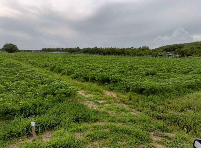 ประกาศฟรี! ซื้อ-ขาย-เช่า คอนโด บ้าน ทาวน์โฮม ที่ดิน และพื้นที่เชิงพาณิชย์ทั่วประเทศไทย ทุกทำเล ทุกงบประมาณ ไม่มีค่าใช้จ่าย ลงง่าย ขายไว เข้าถึงผู้ซื้อโดยตรง 2 301778pic1.jpg