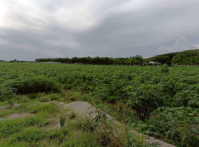 ประกาศฟรี! ซื้อ-ขาย-เช่า คอนโด บ้าน ทาวน์โฮม ที่ดิน และพื้นที่เชิงพาณิชย์ทั่วประเทศไทย ทุกทำเล ทุกงบประมาณ ไม่มีค่าใช้จ่าย ลงง่าย ขายไว เข้าถึงผู้ซื้อโดยตรง 3 301778pic2.jpg