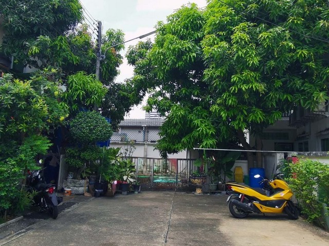 ประกาศฟรี! ซื้อ-ขาย-เช่า คอนโด บ้าน ทาวน์โฮม ที่ดิน และพื้นที่เชิงพาณิชย์ทั่วประเทศไทย ทุกทำเล ทุกงบประมาณ ไม่มีค่าใช้จ่าย ลงง่าย ขายไว เข้าถึงผู้ซื้อโดยตรง 2 259737pic1.jpg