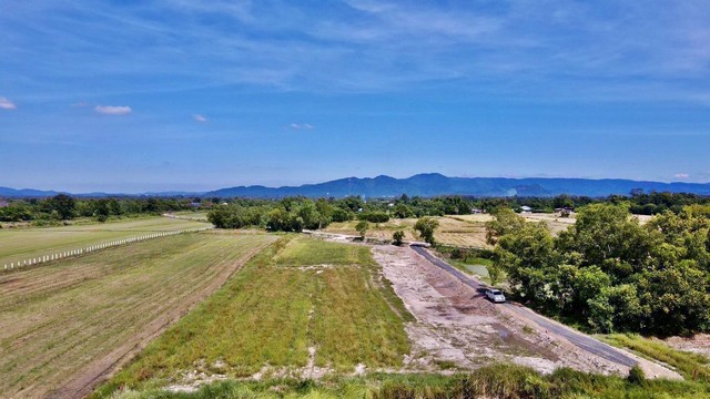 ประกาศฟรี! ซื้อ-ขาย-เช่า คอนโด บ้าน ทาวน์โฮม ที่ดิน และพื้นที่เชิงพาณิชย์ทั่วประเทศไทย ทุกทำเล ทุกงบประมาณ ไม่มีค่าใช้จ่าย ลงง่าย ขายไว เข้าถึงผู้ซื้อโดยตรง 2 294072pic1.jpg