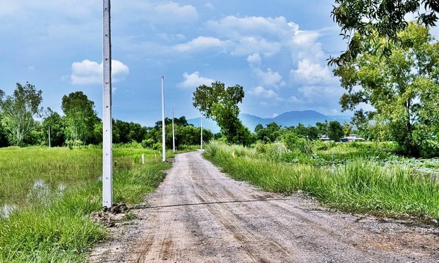 ประกาศฟรี! ซื้อ-ขาย-เช่า คอนโด บ้าน ทาวน์โฮม ที่ดิน และพื้นที่เชิงพาณิชย์ทั่วประเทศไทย ทุกทำเล ทุกงบประมาณ ไม่มีค่าใช้จ่าย ลงง่าย ขายไว เข้าถึงผู้ซื้อโดยตรง 3 294072pic2.jpg