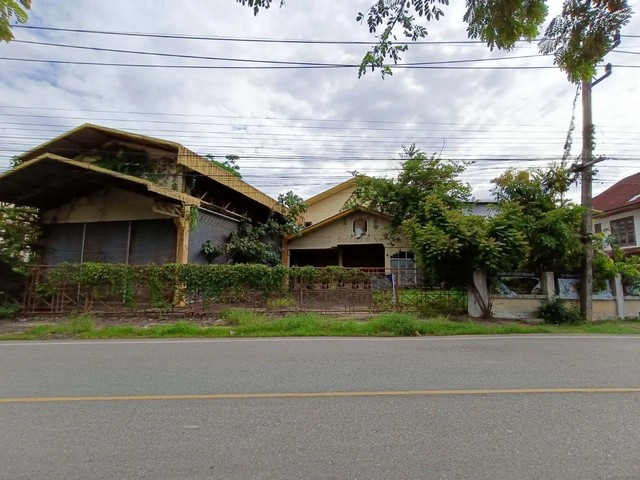 ประกาศฟรี! ซื้อ-ขาย-เช่า คอนโด บ้าน ทาวน์โฮม ที่ดิน และพื้นที่เชิงพาณิชย์ทั่วประเทศไทย ทุกทำเล ทุกงบประมาณ ไม่มีค่าใช้จ่าย ลงง่าย ขายไว เข้าถึงผู้ซื้อโดยตรง 2 259844pic1.jpg