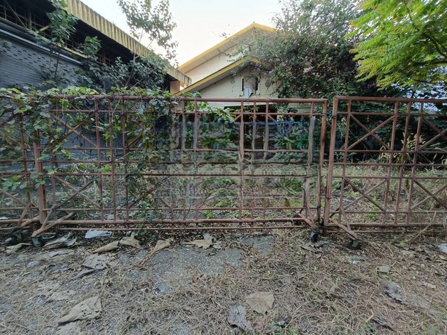 ประกาศฟรี! ซื้อ-ขาย-เช่า คอนโด บ้าน ทาวน์โฮม ที่ดิน และพื้นที่เชิงพาณิชย์ทั่วประเทศไทย ทุกทำเล ทุกงบประมาณ ไม่มีค่าใช้จ่าย ลงง่าย ขายไว เข้าถึงผู้ซื้อโดยตรง 3 259844pic2.jpg