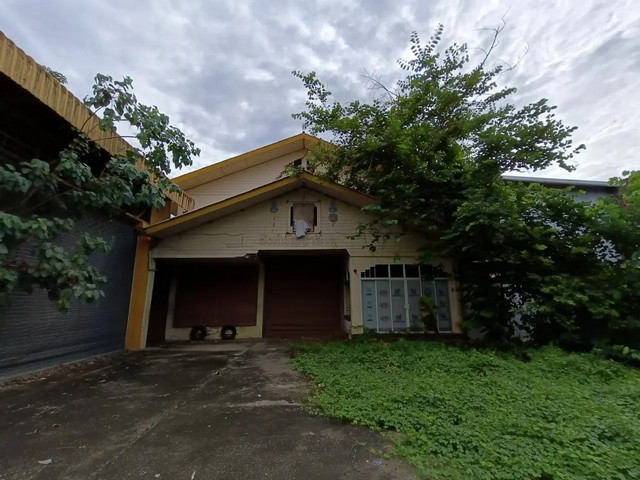 ประกาศฟรี! ซื้อ-ขาย-เช่า คอนโด บ้าน ทาวน์โฮม ที่ดิน และพื้นที่เชิงพาณิชย์ทั่วประเทศไทย ทุกทำเล ทุกงบประมาณ ไม่มีค่าใช้จ่าย ลงง่าย ขายไว เข้าถึงผู้ซื้อโดยตรง 5 259844pic4.jpg