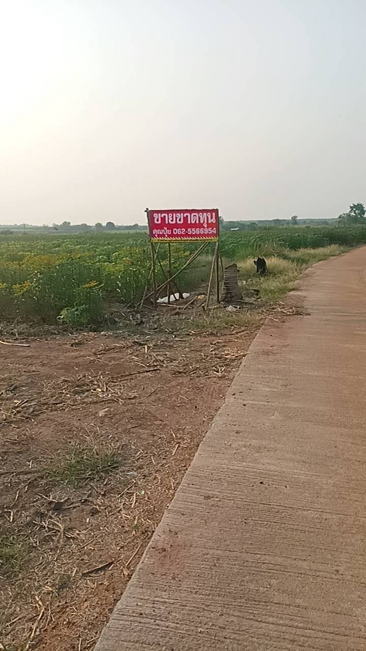 ประกาศฟรี! ซื้อ-ขาย-เช่า คอนโด บ้าน ทาวน์โฮม ที่ดิน และพื้นที่เชิงพาณิชย์ทั่วประเทศไทย ทุกทำเล ทุกงบประมาณ ไม่มีค่าใช้จ่าย ลงง่าย ขายไว เข้าถึงผู้ซื้อโดยตรง 3 318385pic2.jpg