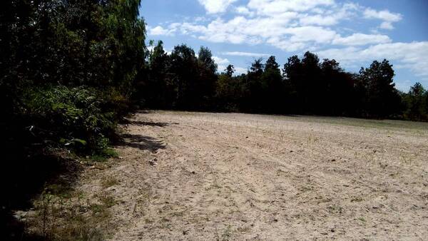 ประกาศฟรี! ซื้อ-ขาย-เช่า คอนโด บ้าน ทาวน์โฮม ที่ดิน และพื้นที่เชิงพาณิชย์ทั่วประเทศไทย ทุกทำเล ทุกงบประมาณ ไม่มีค่าใช้จ่าย ลงง่าย ขายไว เข้าถึงผู้ซื้อโดยตรง 2 520710pic1.jpg