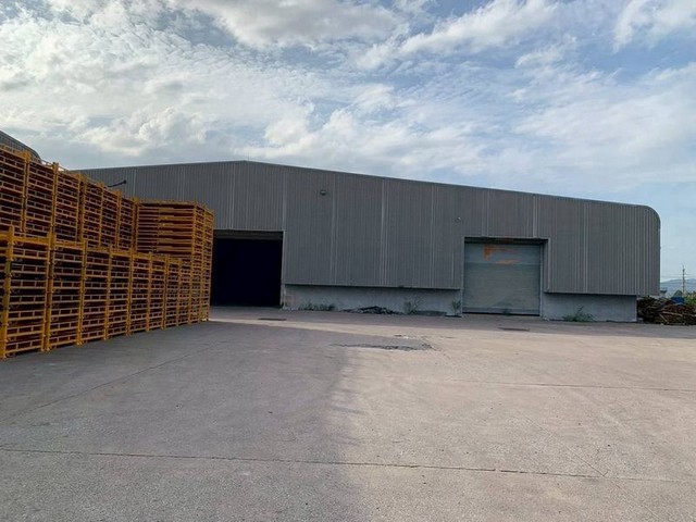 ประกาศฟรี! ซื้อ-ขาย-เช่า คอนโด บ้าน ทาวน์โฮม ที่ดิน และพื้นที่เชิงพาณิชย์ทั่วประเทศไทย ทุกทำเล ทุกงบประมาณ ไม่มีค่าใช้จ่าย ลงง่าย ขายไว เข้าถึงผู้ซื้อโดยตรง 2 301974pic1.jpg