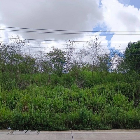 ประกาศฟรี! ซื้อ-ขาย-เช่า คอนโด บ้าน ทาวน์โฮม ที่ดิน และพื้นที่เชิงพาณิชย์ทั่วประเทศไทย ทุกทำเล ทุกงบประมาณ ไม่มีค่าใช้จ่าย ลงง่าย ขายไว เข้าถึงผู้ซื้อโดยตรง 2 301950pic1.jpg