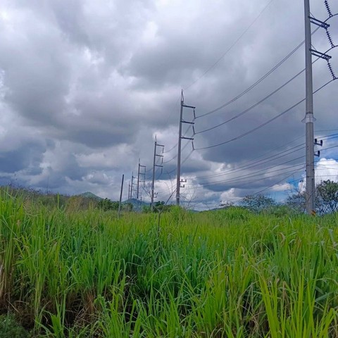 ประกาศฟรี! ซื้อ-ขาย-เช่า คอนโด บ้าน ทาวน์โฮม ที่ดิน และพื้นที่เชิงพาณิชย์ทั่วประเทศไทย ทุกทำเล ทุกงบประมาณ ไม่มีค่าใช้จ่าย ลงง่าย ขายไว เข้าถึงผู้ซื้อโดยตรง 3 301950pic2.jpg