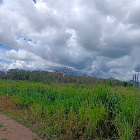 ประกาศฟรี! ซื้อ-ขาย-เช่า คอนโด บ้าน ทาวน์โฮม ที่ดิน และพื้นที่เชิงพาณิชย์ทั่วประเทศไทย ทุกทำเล ทุกงบประมาณ ไม่มีค่าใช้จ่าย ลงง่าย ขายไว เข้าถึงผู้ซื้อโดยตรง 4 301950pic3.jpg