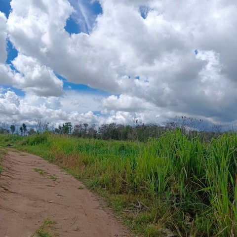 ประกาศฟรี! ซื้อ-ขาย-เช่า คอนโด บ้าน ทาวน์โฮม ที่ดิน และพื้นที่เชิงพาณิชย์ทั่วประเทศไทย ทุกทำเล ทุกงบประมาณ ไม่มีค่าใช้จ่าย ลงง่าย ขายไว เข้าถึงผู้ซื้อโดยตรง 5 301950pic4.jpg