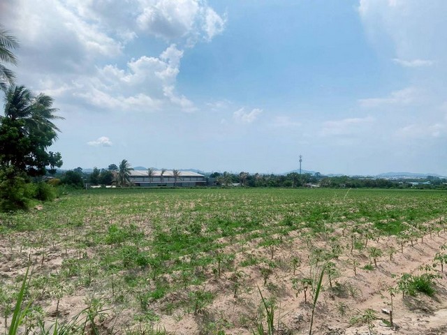 ประกาศฟรี! ซื้อ-ขาย-เช่า คอนโด บ้าน ทาวน์โฮม ที่ดิน และพื้นที่เชิงพาณิชย์ทั่วประเทศไทย ทุกทำเล ทุกงบประมาณ ไม่มีค่าใช้จ่าย ลงง่าย ขายไว เข้าถึงผู้ซื้อโดยตรง 2 301932pic1.jpg