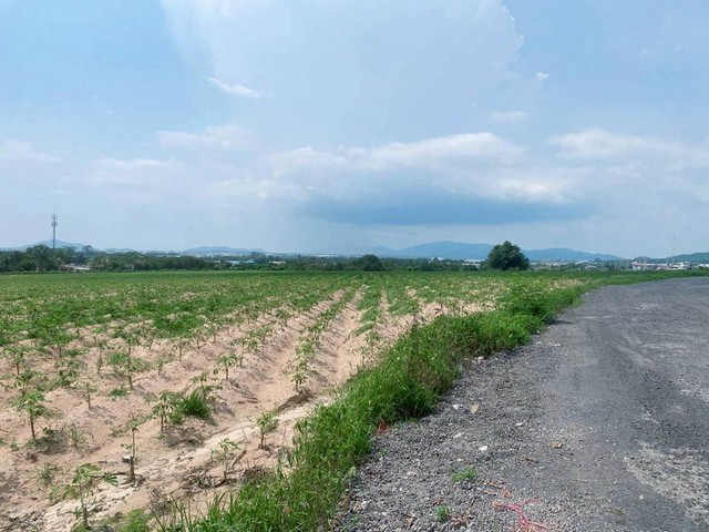 ประกาศฟรี! ซื้อ-ขาย-เช่า คอนโด บ้าน ทาวน์โฮม ที่ดิน และพื้นที่เชิงพาณิชย์ทั่วประเทศไทย ทุกทำเล ทุกงบประมาณ ไม่มีค่าใช้จ่าย ลงง่าย ขายไว เข้าถึงผู้ซื้อโดยตรง 4 301932pic3.jpg