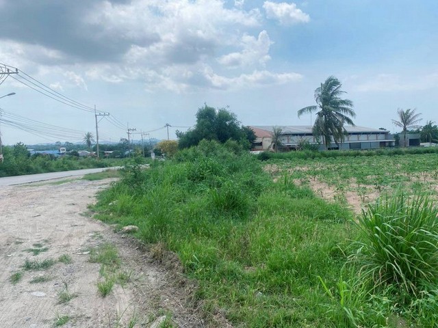 ประกาศฟรี! ซื้อ-ขาย-เช่า คอนโด บ้าน ทาวน์โฮม ที่ดิน และพื้นที่เชิงพาณิชย์ทั่วประเทศไทย ทุกทำเล ทุกงบประมาณ ไม่มีค่าใช้จ่าย ลงง่าย ขายไว เข้าถึงผู้ซื้อโดยตรง 5 301932pic4.jpg