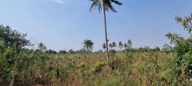 ประกาศฟรี! ซื้อ-ขาย-เช่า คอนโด บ้าน ทาวน์โฮม ที่ดิน และพื้นที่เชิงพาณิชย์ทั่วประเทศไทย ทุกทำเล ทุกงบประมาณ ไม่มีค่าใช้จ่าย ลงง่าย ขายไว เข้าถึงผู้ซื้อโดยตรง 2 301929pic1.jpg