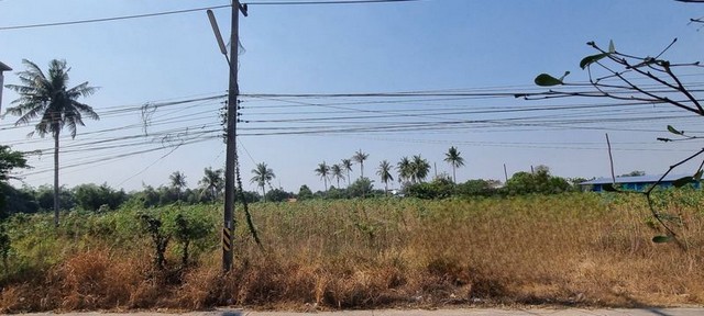 ประกาศฟรี! ซื้อ-ขาย-เช่า คอนโด บ้าน ทาวน์โฮม ที่ดิน และพื้นที่เชิงพาณิชย์ทั่วประเทศไทย ทุกทำเล ทุกงบประมาณ ไม่มีค่าใช้จ่าย ลงง่าย ขายไว เข้าถึงผู้ซื้อโดยตรง 3 301929pic2.jpg