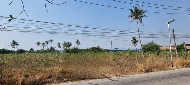 ประกาศฟรี! ซื้อ-ขาย-เช่า คอนโด บ้าน ทาวน์โฮม ที่ดิน และพื้นที่เชิงพาณิชย์ทั่วประเทศไทย ทุกทำเล ทุกงบประมาณ ไม่มีค่าใช้จ่าย ลงง่าย ขายไว เข้าถึงผู้ซื้อโดยตรง 4 301929pic3.jpg