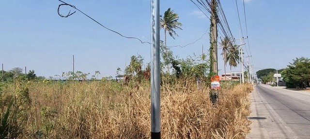 ประกาศฟรี! ซื้อ-ขาย-เช่า คอนโด บ้าน ทาวน์โฮม ที่ดิน และพื้นที่เชิงพาณิชย์ทั่วประเทศไทย ทุกทำเล ทุกงบประมาณ ไม่มีค่าใช้จ่าย ลงง่าย ขายไว เข้าถึงผู้ซื้อโดยตรง 5 301929pic4.jpg