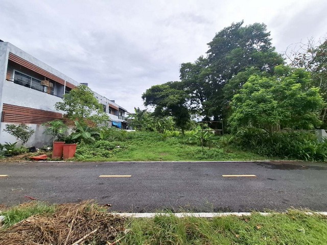 ประกาศฟรี! ซื้อ-ขาย-เช่า คอนโด บ้าน ทาวน์โฮม ที่ดิน และพื้นที่เชิงพาณิชย์ทั่วประเทศไทย ทุกทำเล ทุกงบประมาณ ไม่มีค่าใช้จ่าย ลงง่าย ขายไว เข้าถึงผู้ซื้อโดยตรง 2 260997pic1.jpg