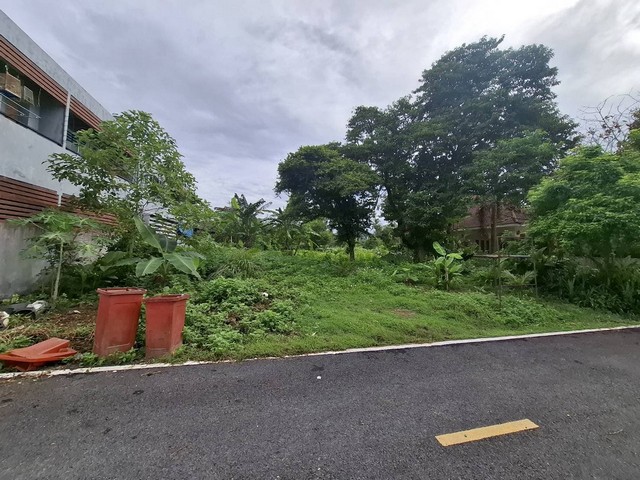 ประกาศฟรี! ซื้อ-ขาย-เช่า คอนโด บ้าน ทาวน์โฮม ที่ดิน และพื้นที่เชิงพาณิชย์ทั่วประเทศไทย ทุกทำเล ทุกงบประมาณ ไม่มีค่าใช้จ่าย ลงง่าย ขายไว เข้าถึงผู้ซื้อโดยตรง 3 260997pic2.jpg