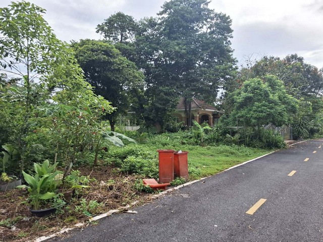 ประกาศฟรี! ซื้อ-ขาย-เช่า คอนโด บ้าน ทาวน์โฮม ที่ดิน และพื้นที่เชิงพาณิชย์ทั่วประเทศไทย ทุกทำเล ทุกงบประมาณ ไม่มีค่าใช้จ่าย ลงง่าย ขายไว เข้าถึงผู้ซื้อโดยตรง 4 260997pic3.jpg