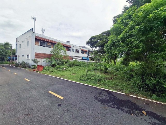 ประกาศฟรี! ซื้อ-ขาย-เช่า คอนโด บ้าน ทาวน์โฮม ที่ดิน และพื้นที่เชิงพาณิชย์ทั่วประเทศไทย ทุกทำเล ทุกงบประมาณ ไม่มีค่าใช้จ่าย ลงง่าย ขายไว เข้าถึงผู้ซื้อโดยตรง 5 260997pic4.jpg