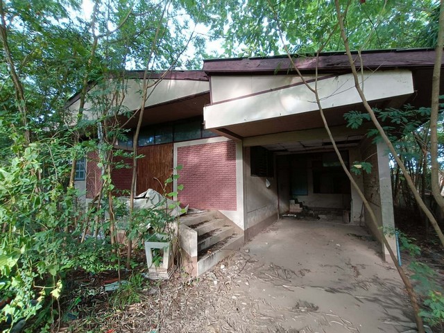 ประกาศฟรี! ซื้อ-ขาย-เช่า คอนโด บ้าน ทาวน์โฮม ที่ดิน และพื้นที่เชิงพาณิชย์ทั่วประเทศไทย ทุกทำเล ทุกงบประมาณ ไม่มีค่าใช้จ่าย ลงง่าย ขายไว เข้าถึงผู้ซื้อโดยตรง 3 260996pic2.jpg