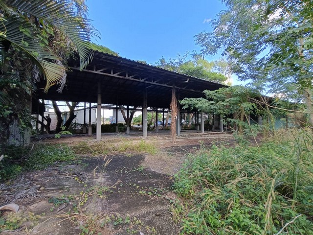 ประกาศฟรี! ซื้อ-ขาย-เช่า คอนโด บ้าน ทาวน์โฮม ที่ดิน และพื้นที่เชิงพาณิชย์ทั่วประเทศไทย ทุกทำเล ทุกงบประมาณ ไม่มีค่าใช้จ่าย ลงง่าย ขายไว เข้าถึงผู้ซื้อโดยตรง 4 260996pic3.jpg