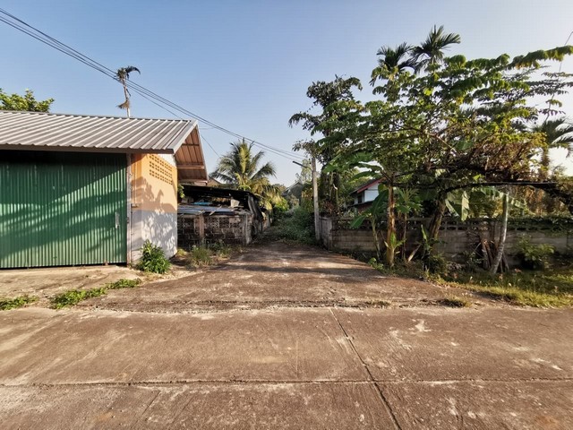 ประกาศฟรี! ซื้อ-ขาย-เช่า คอนโด บ้าน ทาวน์โฮม ที่ดิน และพื้นที่เชิงพาณิชย์ทั่วประเทศไทย ทุกทำเล ทุกงบประมาณ ไม่มีค่าใช้จ่าย ลงง่าย ขายไว เข้าถึงผู้ซื้อโดยตรง 2 260995pic1.jpg