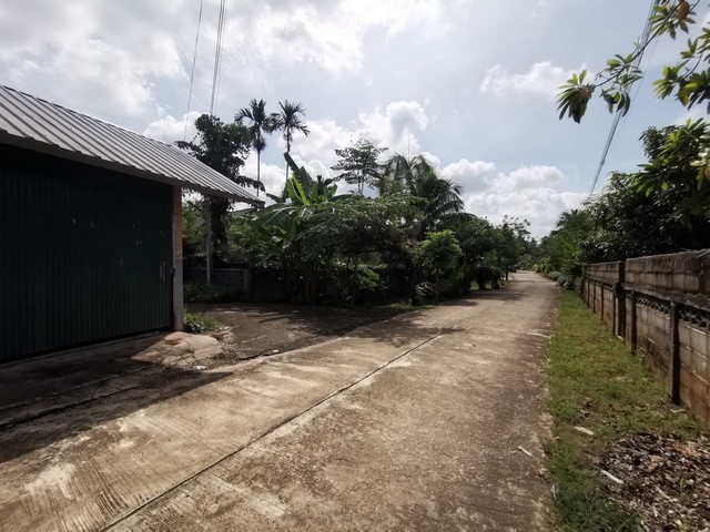 ประกาศฟรี! ซื้อ-ขาย-เช่า คอนโด บ้าน ทาวน์โฮม ที่ดิน และพื้นที่เชิงพาณิชย์ทั่วประเทศไทย ทุกทำเล ทุกงบประมาณ ไม่มีค่าใช้จ่าย ลงง่าย ขายไว เข้าถึงผู้ซื้อโดยตรง 5 260995pic4.jpg