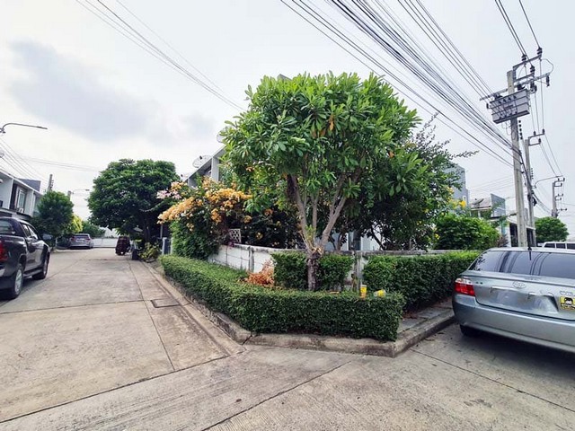 ประกาศฟรี! ซื้อ-ขาย-เช่า คอนโด บ้าน ทาวน์โฮม ที่ดิน และพื้นที่เชิงพาณิชย์ทั่วประเทศไทย ทุกทำเล ทุกงบประมาณ ไม่มีค่าใช้จ่าย ลงง่าย ขายไว เข้าถึงผู้ซื้อโดยตรง 5 259880pic4.jpg