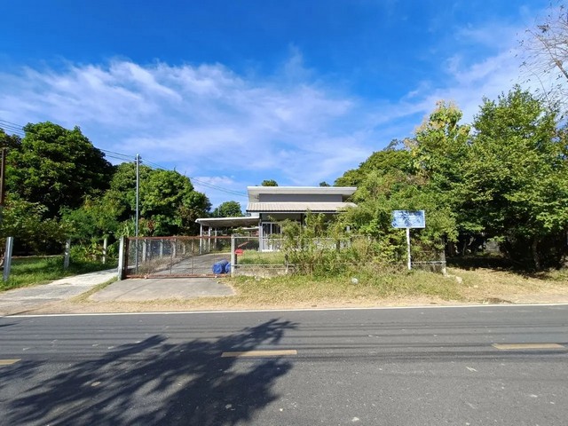 ประกาศฟรี! ซื้อ-ขาย-เช่า คอนโด บ้าน ทาวน์โฮม ที่ดิน และพื้นที่เชิงพาณิชย์ทั่วประเทศไทย ทุกทำเล ทุกงบประมาณ ไม่มีค่าใช้จ่าย ลงง่าย ขายไว เข้าถึงผู้ซื้อโดยตรง 2 259868pic1.jpg