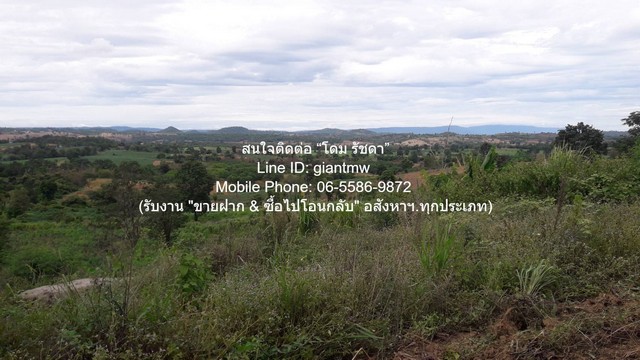 ประกาศฟรี! ซื้อ-ขาย-เช่า คอนโด บ้าน ทาวน์โฮม ที่ดิน และพื้นที่เชิงพาณิชย์ทั่วประเทศไทย ทุกทำเล ทุกงบประมาณ ไม่มีค่าใช้จ่าย ลงง่าย ขายไว เข้าถึงผู้ซื้อโดยตรง 2 313967pic1.jpg