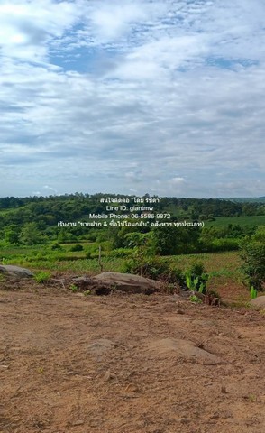 ประกาศฟรี! ซื้อ-ขาย-เช่า คอนโด บ้าน ทาวน์โฮม ที่ดิน และพื้นที่เชิงพาณิชย์ทั่วประเทศไทย ทุกทำเล ทุกงบประมาณ ไม่มีค่าใช้จ่าย ลงง่าย ขายไว เข้าถึงผู้ซื้อโดยตรง 4 313967pic3.jpg