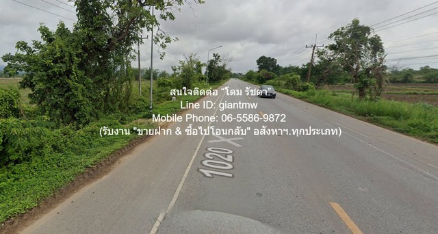 ประกาศฟรี! ซื้อ-ขาย-เช่า คอนโด บ้าน ทาวน์โฮม ที่ดิน และพื้นที่เชิงพาณิชย์ทั่วประเทศไทย ทุกทำเล ทุกงบประมาณ ไม่มีค่าใช้จ่าย ลงง่าย ขายไว เข้าถึงผู้ซื้อโดยตรง 2 313966pic1.jpg