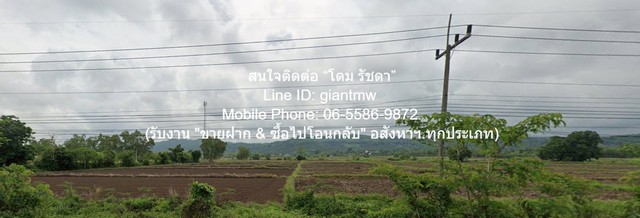 ประกาศฟรี! ซื้อ-ขาย-เช่า คอนโด บ้าน ทาวน์โฮม ที่ดิน และพื้นที่เชิงพาณิชย์ทั่วประเทศไทย ทุกทำเล ทุกงบประมาณ ไม่มีค่าใช้จ่าย ลงง่าย ขายไว เข้าถึงผู้ซื้อโดยตรง 5 313966pic4.jpg