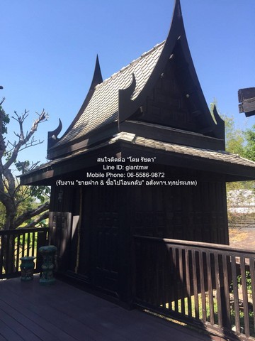 ประกาศฟรี! ซื้อ-ขาย-เช่า คอนโด บ้าน ทาวน์โฮม ที่ดิน และพื้นที่เชิงพาณิชย์ทั่วประเทศไทย ทุกทำเล ทุกงบประมาณ ไม่มีค่าใช้จ่าย ลงง่าย ขายไว เข้าถึงผู้ซื้อโดยตรง 2 313964pic1.jpg