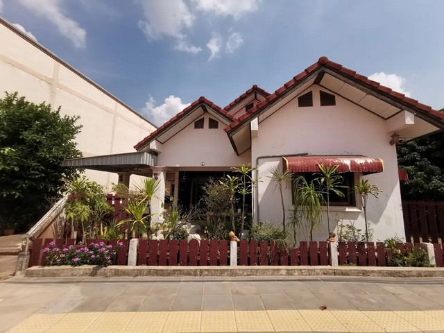 ประกาศฟรี! ซื้อ-ขาย-เช่า คอนโด บ้าน ทาวน์โฮม ที่ดิน และพื้นที่เชิงพาณิชย์ทั่วประเทศไทย ทุกทำเล ทุกงบประมาณ ไม่มีค่าใช้จ่าย ลงง่าย ขายไว เข้าถึงผู้ซื้อโดยตรง 2 261077pic1.jpg